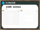教科版（2024）小學(xué)科學(xué)四年級下冊第一單元1.3種子長出了根課件