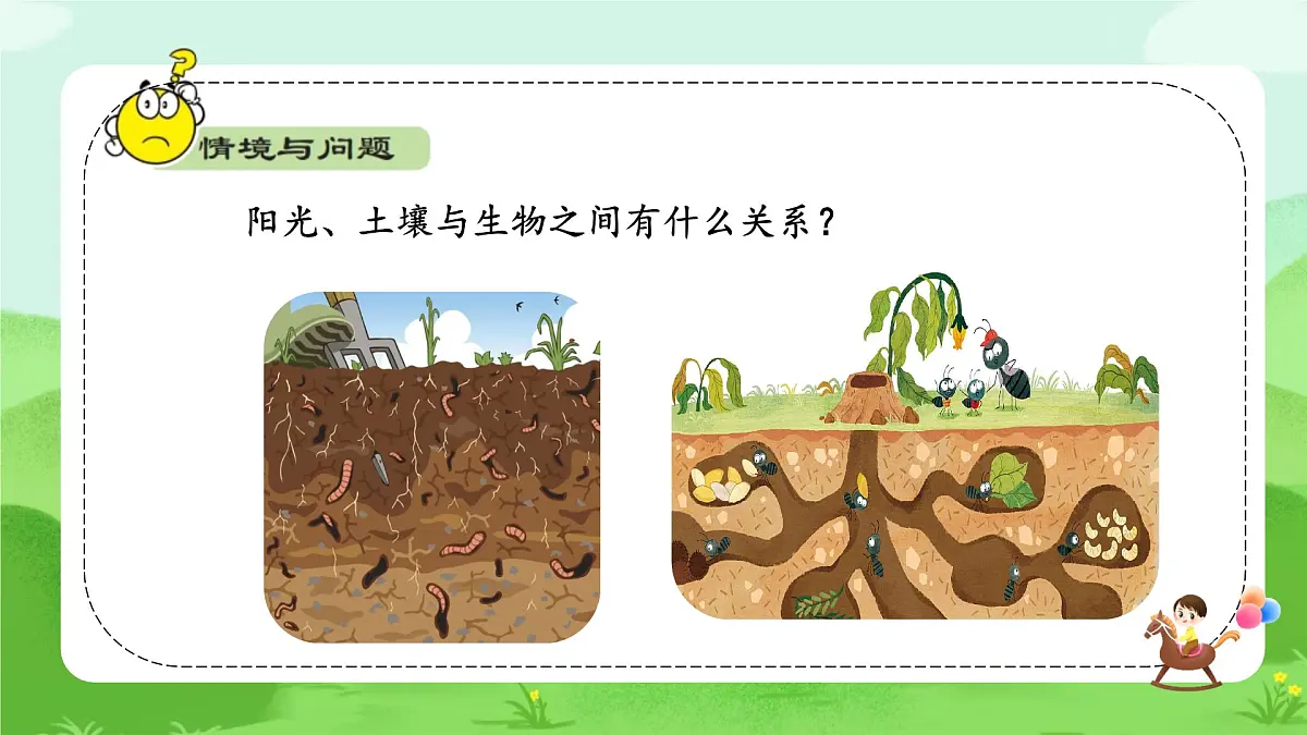 【核心素养】冀人版小学科学一年级下册 7 动植物的家 课件第7页