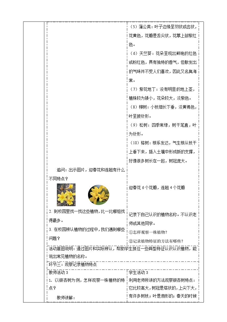 【大单元整体教学】2.6《观察校园里的植物》课时教案第3页