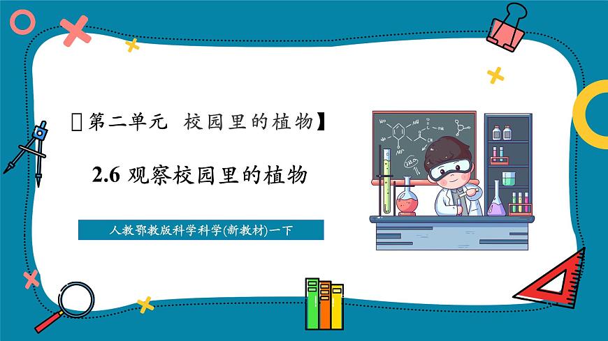 【大单元整体教学】2.6《观察校园里的植物》课时课件第1页