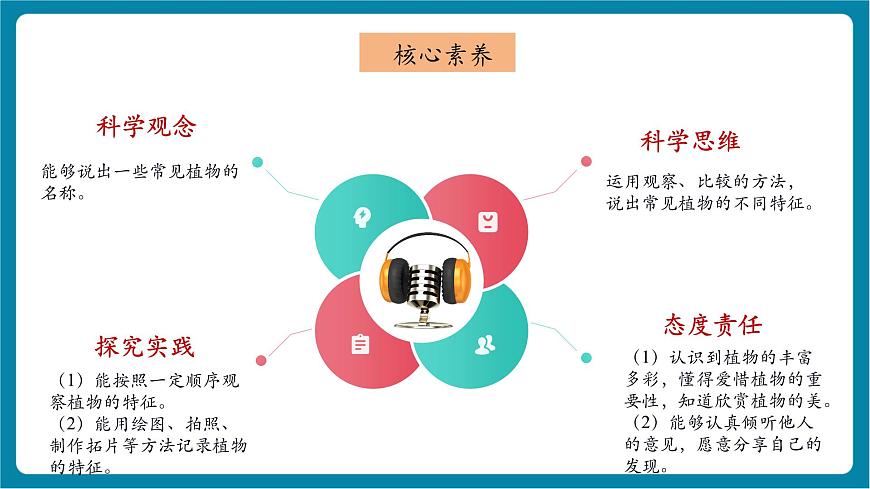 【大单元整体教学】2.6《观察校园里的植物》课时课件第2页