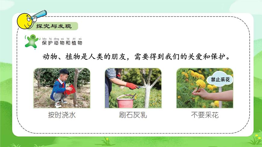 【核心素养】冀人版（2024版）小学科学一年级下册 9 关爱行动  课件第6页