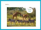 【大單元核心素養(yǎng)】教科版科學(xué)一下2.1《我們周圍的動物》單元整體設(shè)計(jì)+教學(xué)課件+同步教案