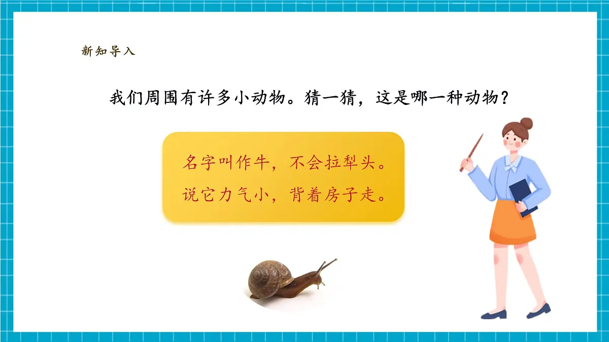 【大单元教学】2.2《观察一种动物》课时课件第4页