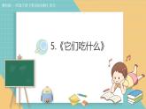 2024-2025學(xué)年教科版科學(xué)一年級(jí)下冊(cè) 2.5《它們吃什么》課件