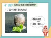 2024-2025學(xué)年教科版科學(xué)一年級(jí)下冊(cè) 2.5《它們吃什么》課件