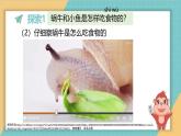 2024-2025學(xué)年教科版科學(xué)一年級(jí)下冊(cè) 2.5《它們吃什么》課件