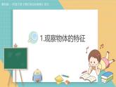 2024-2025學(xué)年教科版科學(xué)一年級下冊 1.1.觀察物體的特征 教學(xué)課件