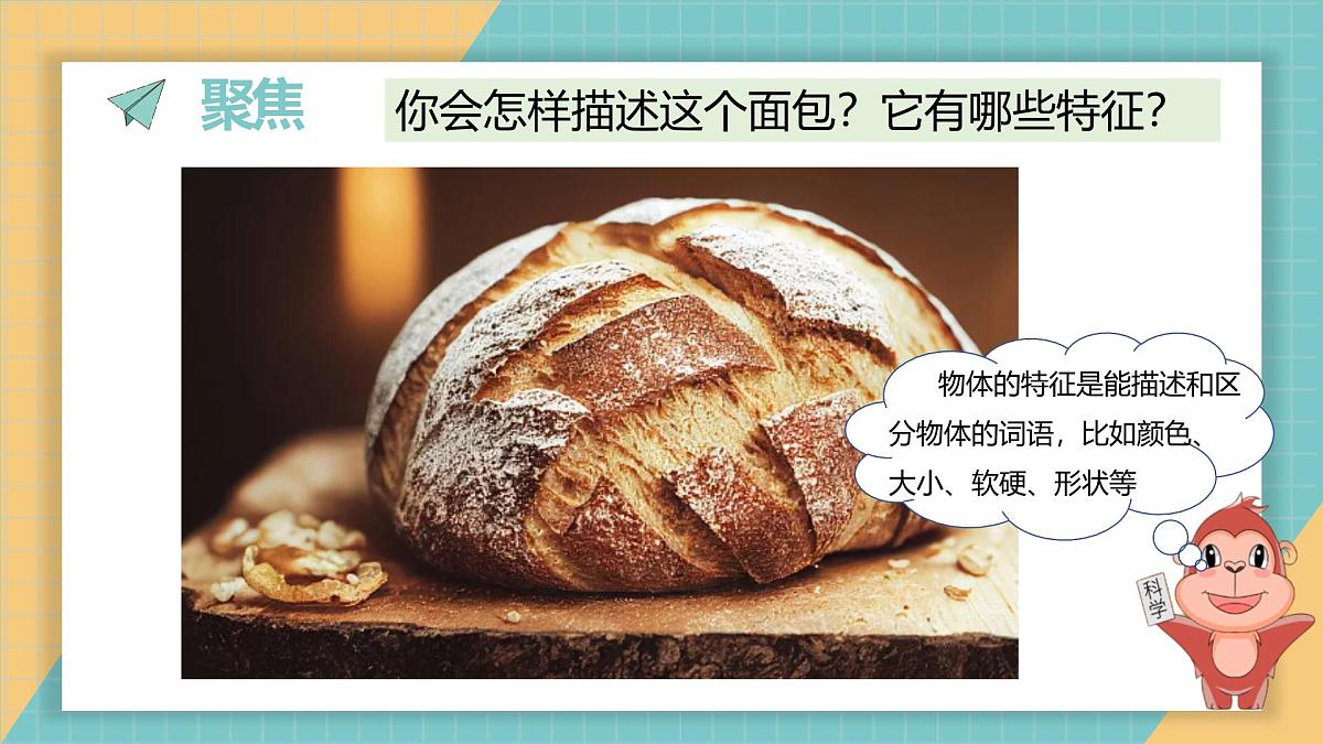 2024-2025学年教科版科学一年级下册 1.1.观察物体的特征 教学课件第2页