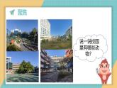 2024-2025學(xué)年教科版科學(xué)一年級下冊 2.1《我們周圍的動(dòng)物》課件