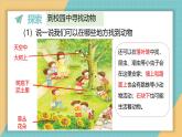 2024-2025學(xué)年教科版科學(xué)一年級下冊 2.1《我們周圍的動(dòng)物》課件