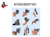 2024-2025學年教科版小學科學三年級下冊教學課件 3.3影子的秘密