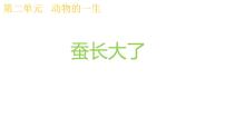 小学科学教科版（2024）三年级下册蚕长大了教学课件ppt