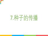 2024-2025學(xué)年教科版小學(xué)科學(xué)四年級下冊教學(xué)課件 1.7種子的傳播