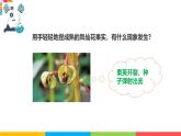 2024-2025學(xué)年教科版小學(xué)科學(xué)四年級下冊教學(xué)課件 1.7種子的傳播