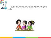 2024-2025學(xué)年教科版小學(xué)科學(xué)四年級下冊教學(xué)課件 1.8鳳仙花的一生