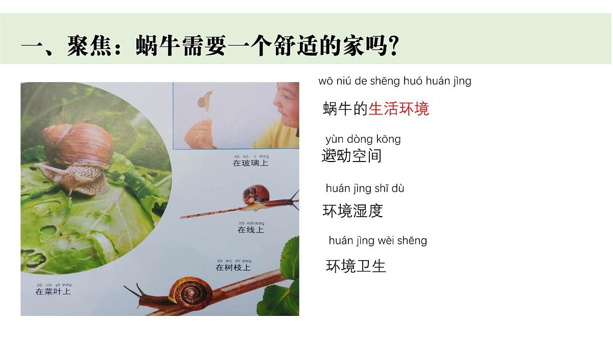 2024-2025学年教科版一年级下册教学课件 2-3《给蜗牛建个“家”》第2页