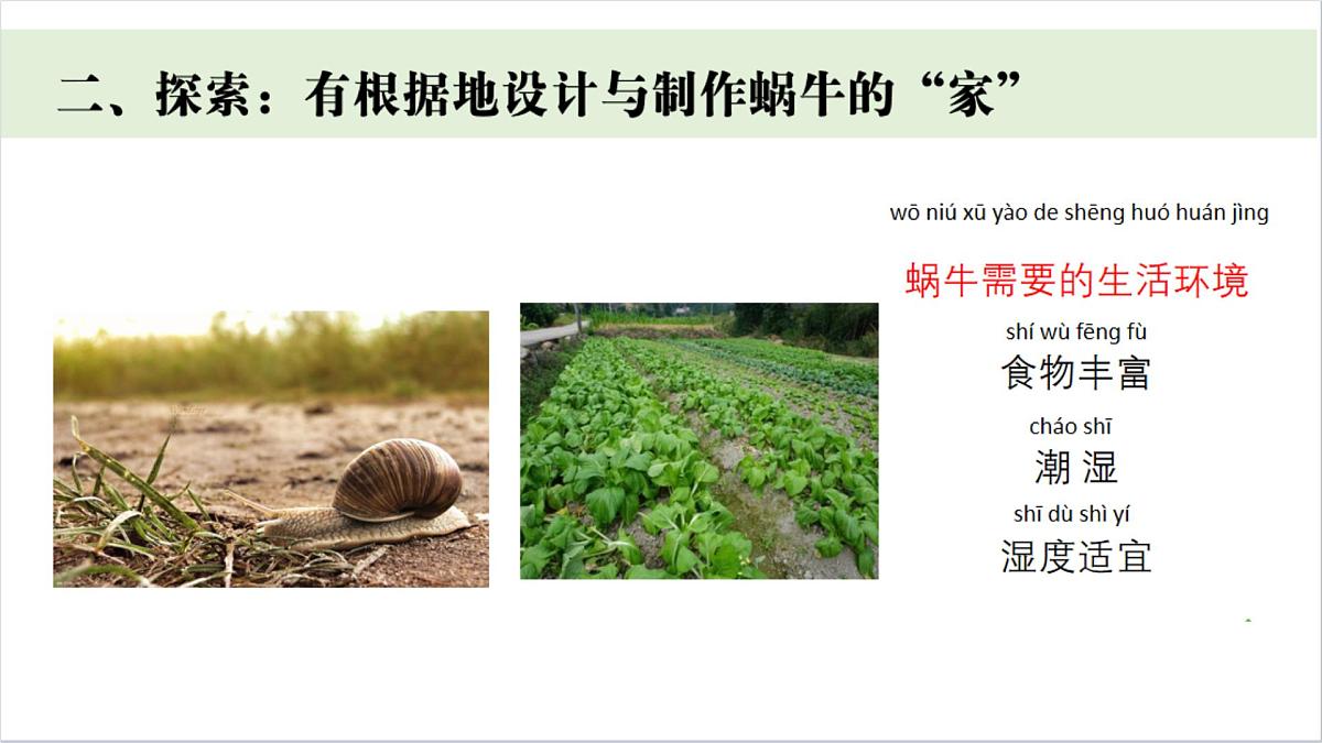 2024-2025学年教科版一年级下册教学课件 2-3《给蜗牛建个“家”》第3页