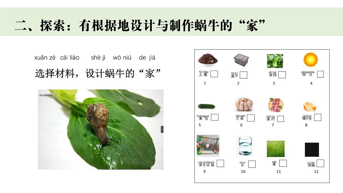 2024-2025学年教科版一年级下册教学课件 2-3《给蜗牛建个“家”》第4页
