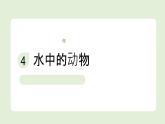 2024-2025學(xué)年教科版一年級下冊教學(xué)課件 2-4《水中的動物》