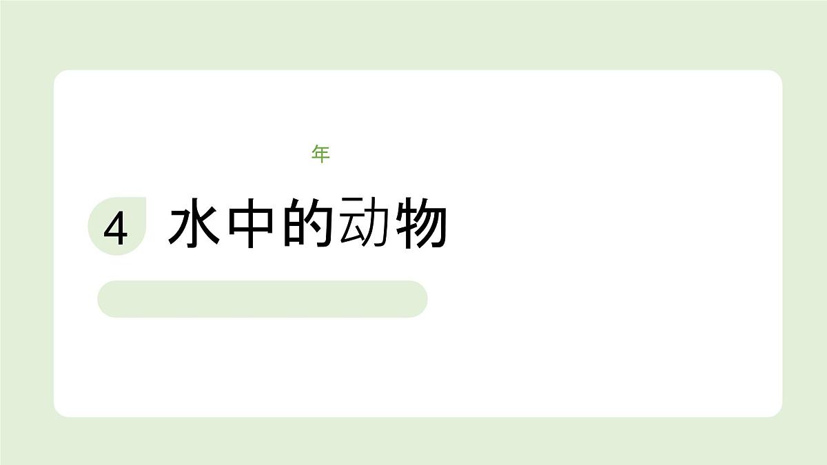 2024-2025学年教科版一年级下册教学课件 2-4《水中的动物》第1页