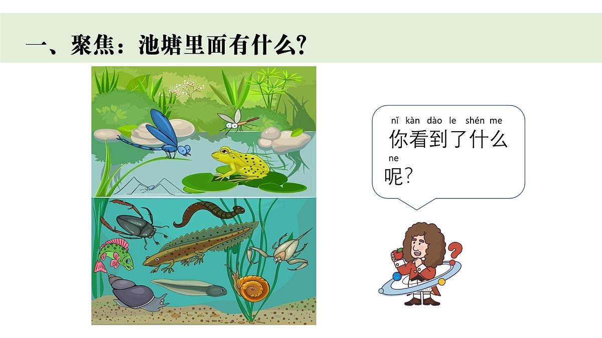 2024-2025学年教科版一年级下册教学课件 2-4《水中的动物》第2页