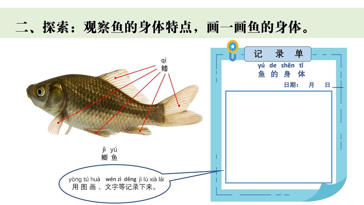 2024-2025学年教科版一年级下册教学课件 2-4《水中的动物》第6页
