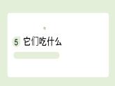 2024-2025學(xué)年教科版一年級(jí)下冊(cè)教學(xué)課件 2-5《它們吃什么》