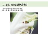 2024-2025學(xué)年教科版一年級(jí)下冊(cè)教學(xué)課件 2-5《它們吃什么》