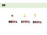 2024-2025學(xué)年教科版一年級下冊教學(xué)課件 1-6《哪個流動得快》