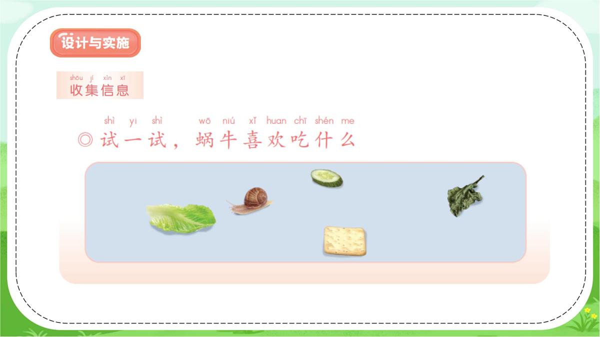 【核心素养】冀人版（2024版）小学科学一年级下册 12 给蜗牛建个小小的家  课件第7页