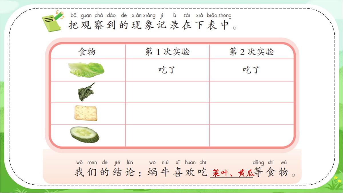 【核心素养】冀人版（2024版）小学科学一年级下册 12 给蜗牛建个小小的家  课件第8页