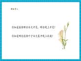 【核心素養(yǎng)優(yōu)質(zhì)課】蘇教版科學(xué)五年級下冊3.10《晝夜對植物的影響》教學(xué)課件+同步教案+大單元教學(xué)設(shè)計+素材