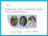 【核心素養(yǎng)優(yōu)質(zhì)課】蘇教版科學(xué)五年級(jí)下冊(cè)3.11《晝夜對(duì)動(dòng)物的影響》教學(xué)課件+同步教案+大單元教學(xué)設(shè)計(jì)+素材