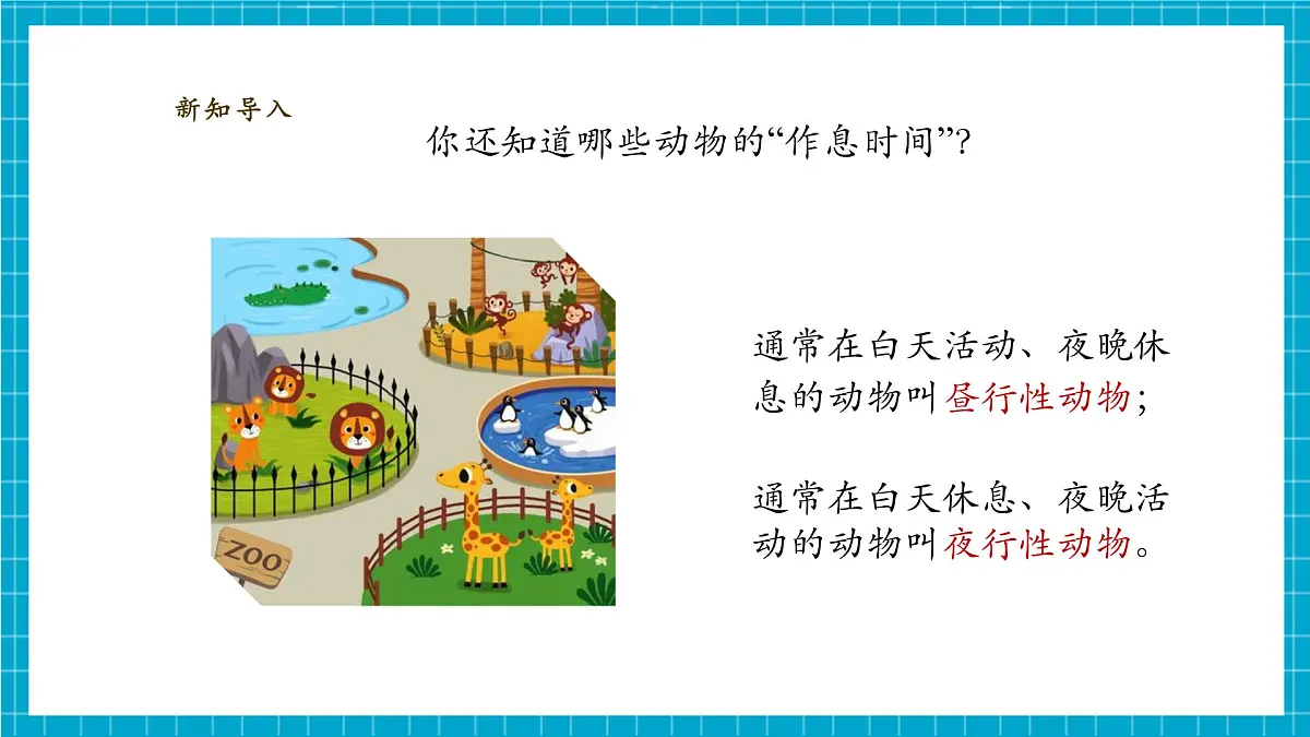 【大单元整体教学】3.11《昼夜对动物的影响》课时课件第6页