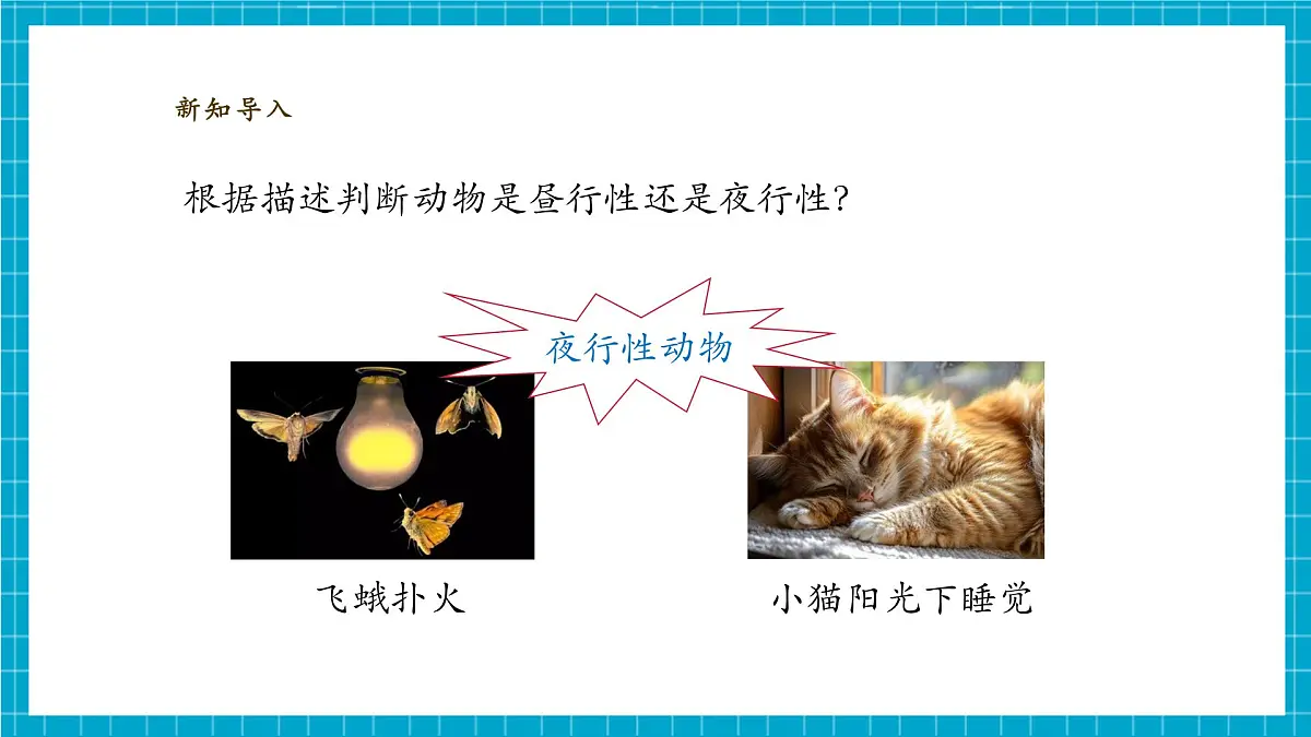 【大单元整体教学】3.11《昼夜对动物的影响》课时课件第7页
