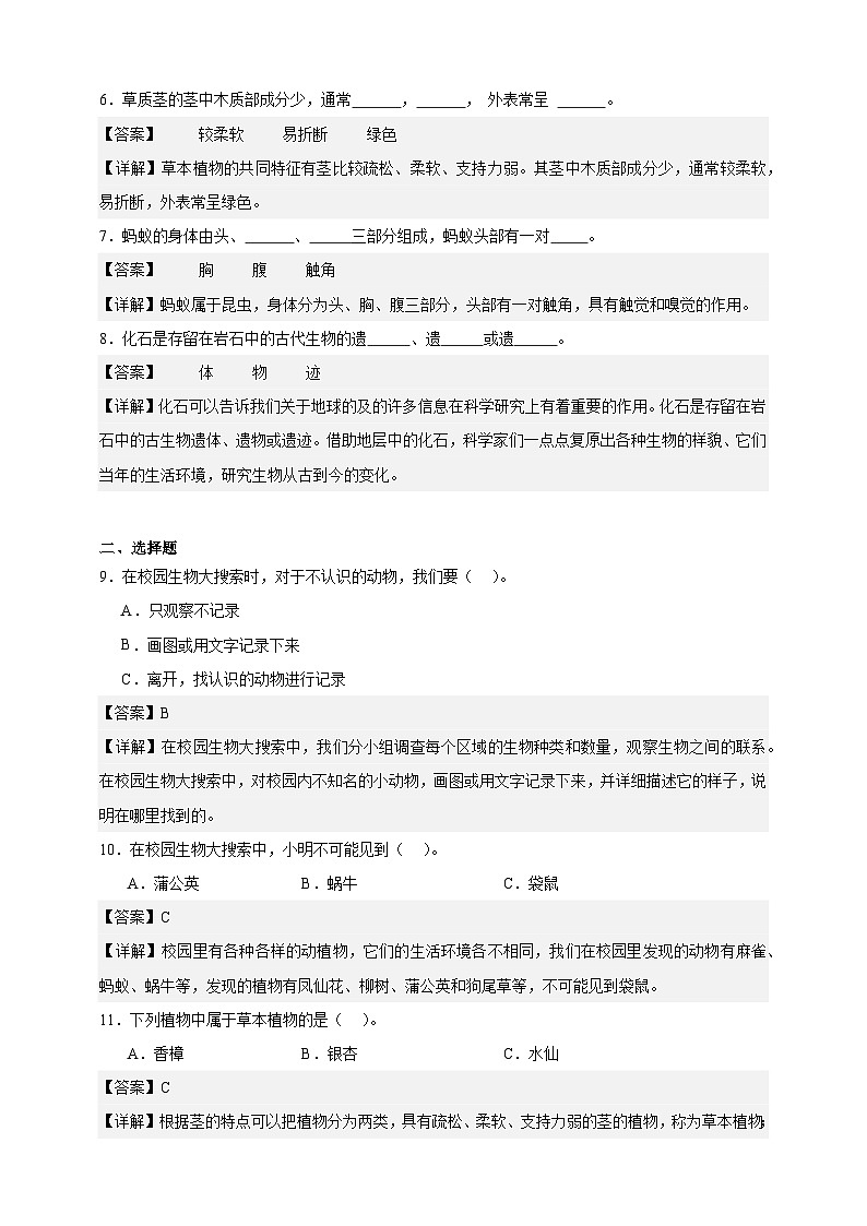教科版（2017）六年级下册科学第二单元素养测评卷（解析版）第2页