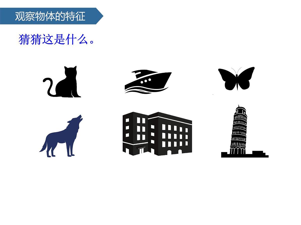 1.4认识物体的形状 课件-2024-2025学年科学一年级下册教科版第3页