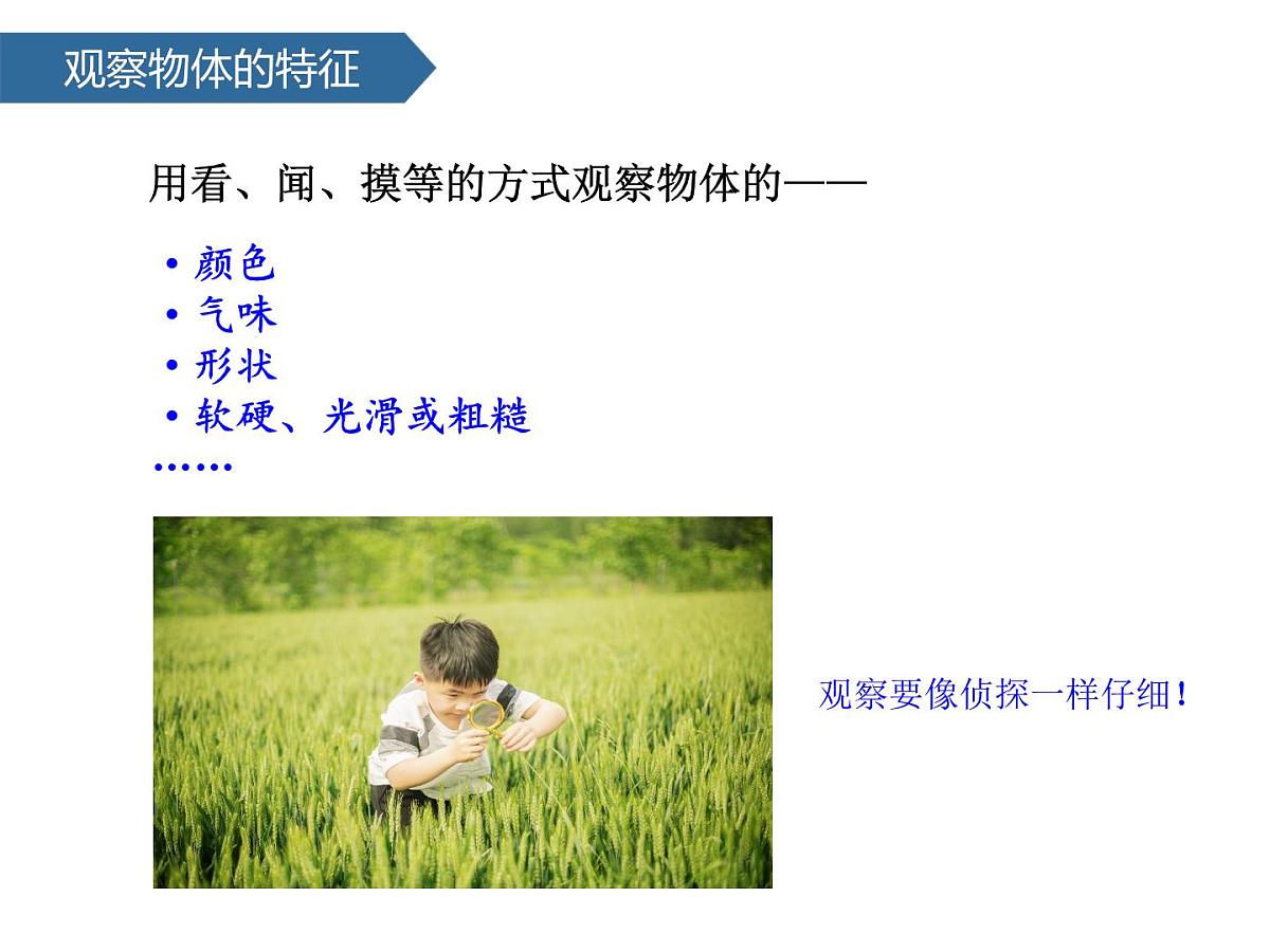 1.4认识物体的形状 课件-2024-2025学年科学一年级下册教科版第4页