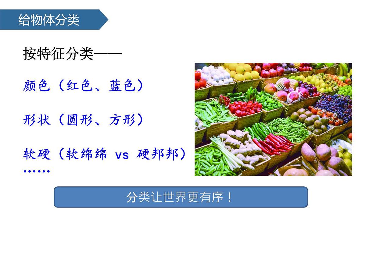 1.4认识物体的形状 课件-2024-2025学年科学一年级下册教科版第5页