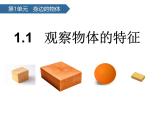 1.1觀察物體的特征 課件-2024-2025學(xué)年科學(xué)一年級下冊教科版