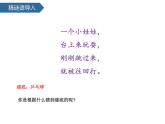 1.1觀察物體的特征 課件-2024-2025學(xué)年科學(xué)一年級下冊教科版