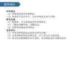2.4水中的動(dòng)物 課件-2024-2025學(xué)年科學(xué)一年級下冊教科版