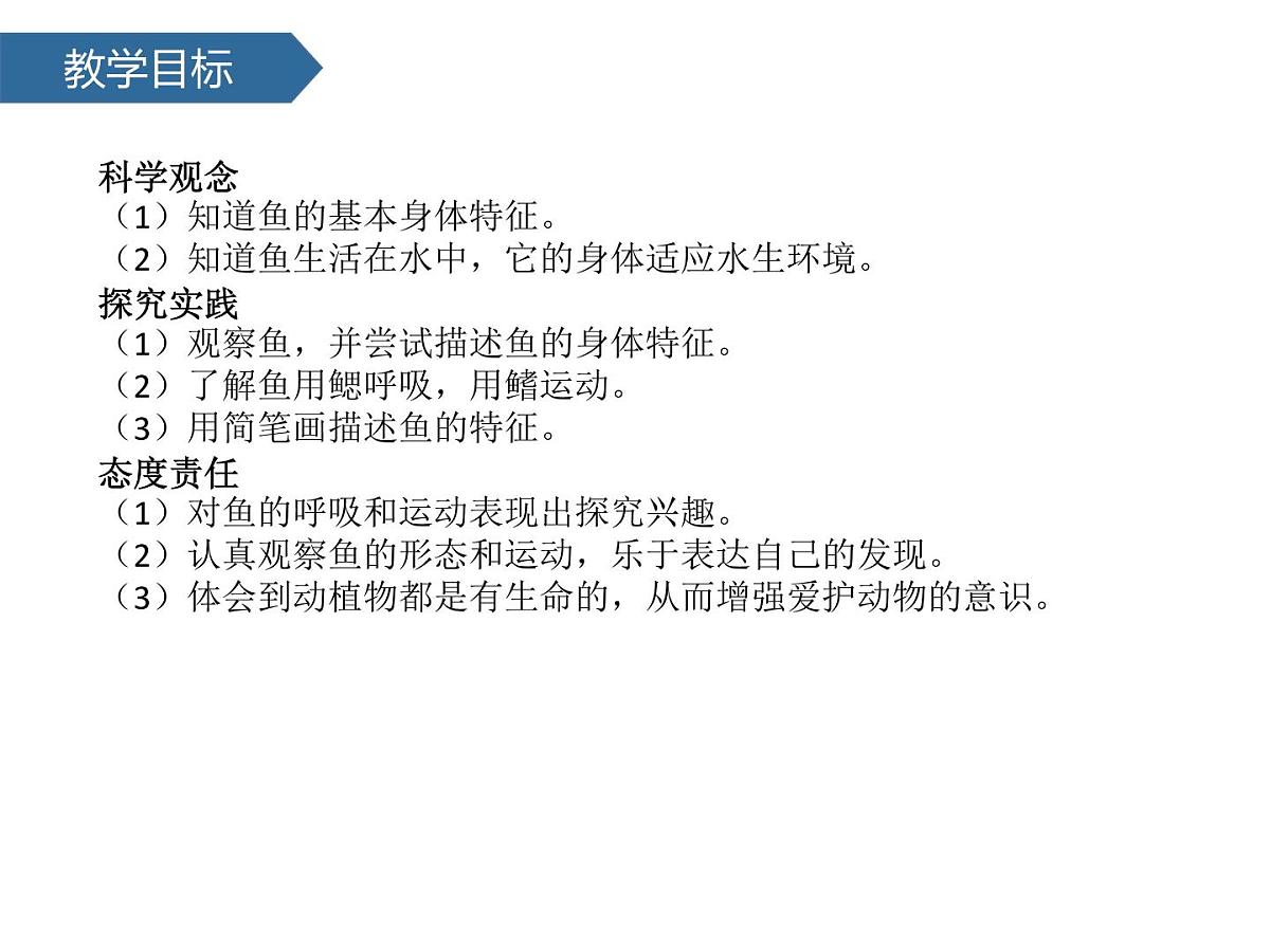 2.4水中的动物 课件-2024-2025学年科学一年级下册教科版第2页