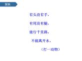 2.4水中的動(dòng)物 課件-2024-2025學(xué)年科學(xué)一年級下冊教科版