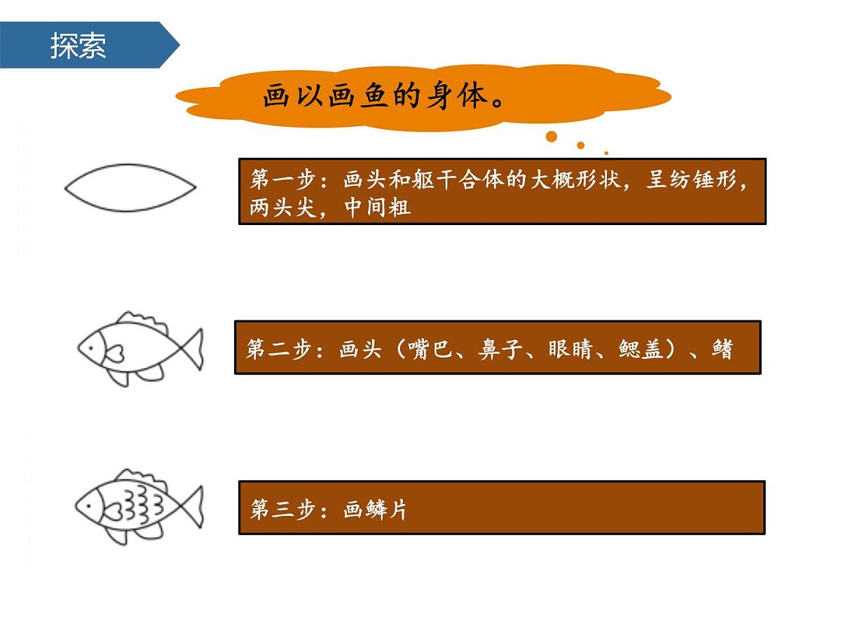 2.4水中的动物 课件-2024-2025学年科学一年级下册教科版第7页
