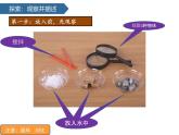 1.7它們?nèi)ツ睦锪?課件-2024-2025學(xué)年科學(xué)一年級下冊教科版