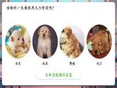 【核心素養(yǎng)優(yōu)質(zhì)課】教科版科學(xué)三年級下冊2.1 迎接蠶寶寶的到來（教學(xué)課件+同步教案含反思）