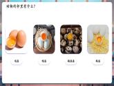 【核心素養(yǎng)優(yōu)質(zhì)課】教科版科學(xué)三年級(jí)下冊(cè)2.2 認(rèn)識(shí)其他動(dòng)物的卵（教學(xué)課件+同步教案含反思）