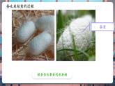 【核心素養(yǎng)優(yōu)質(zhì)課】教科版科學(xué)三年級下冊2.4 蠶變了新模樣（教學(xué)課件+同步教案含反思）